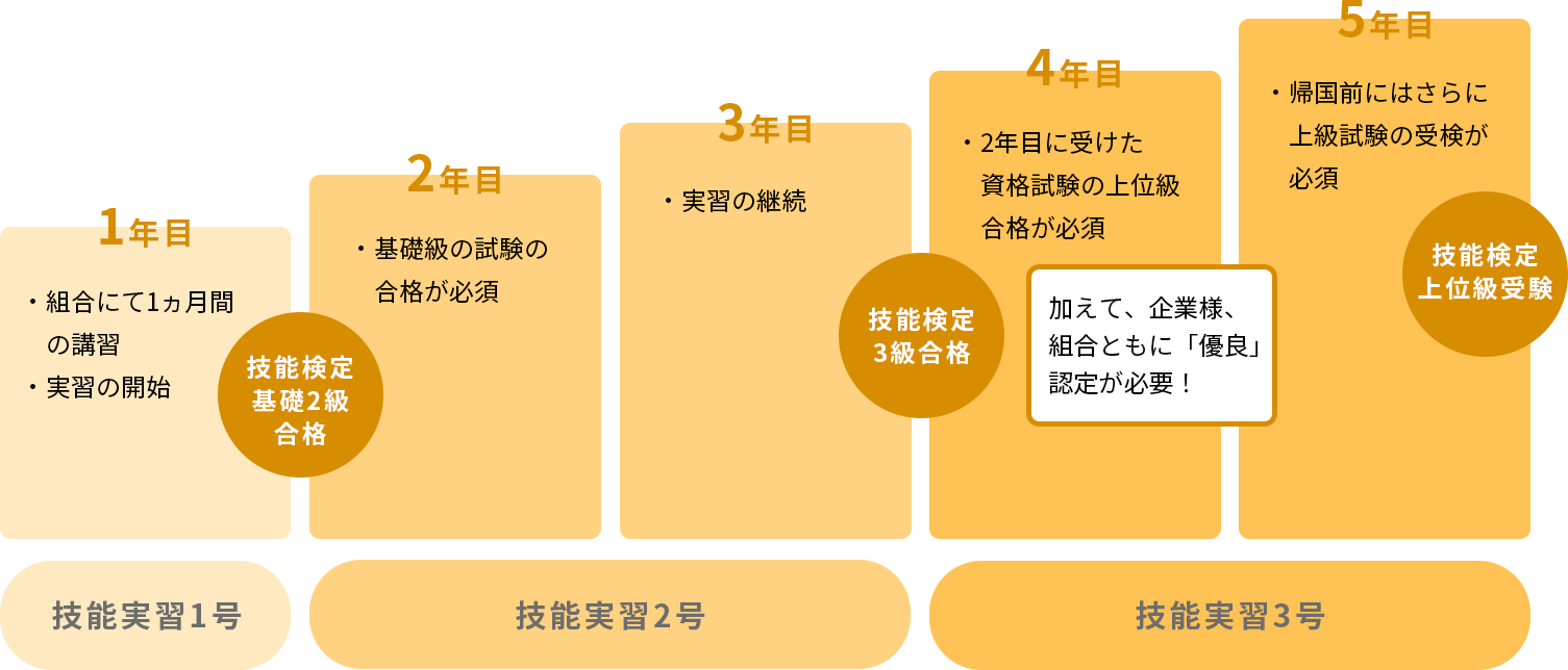 技能実習の実施期間
